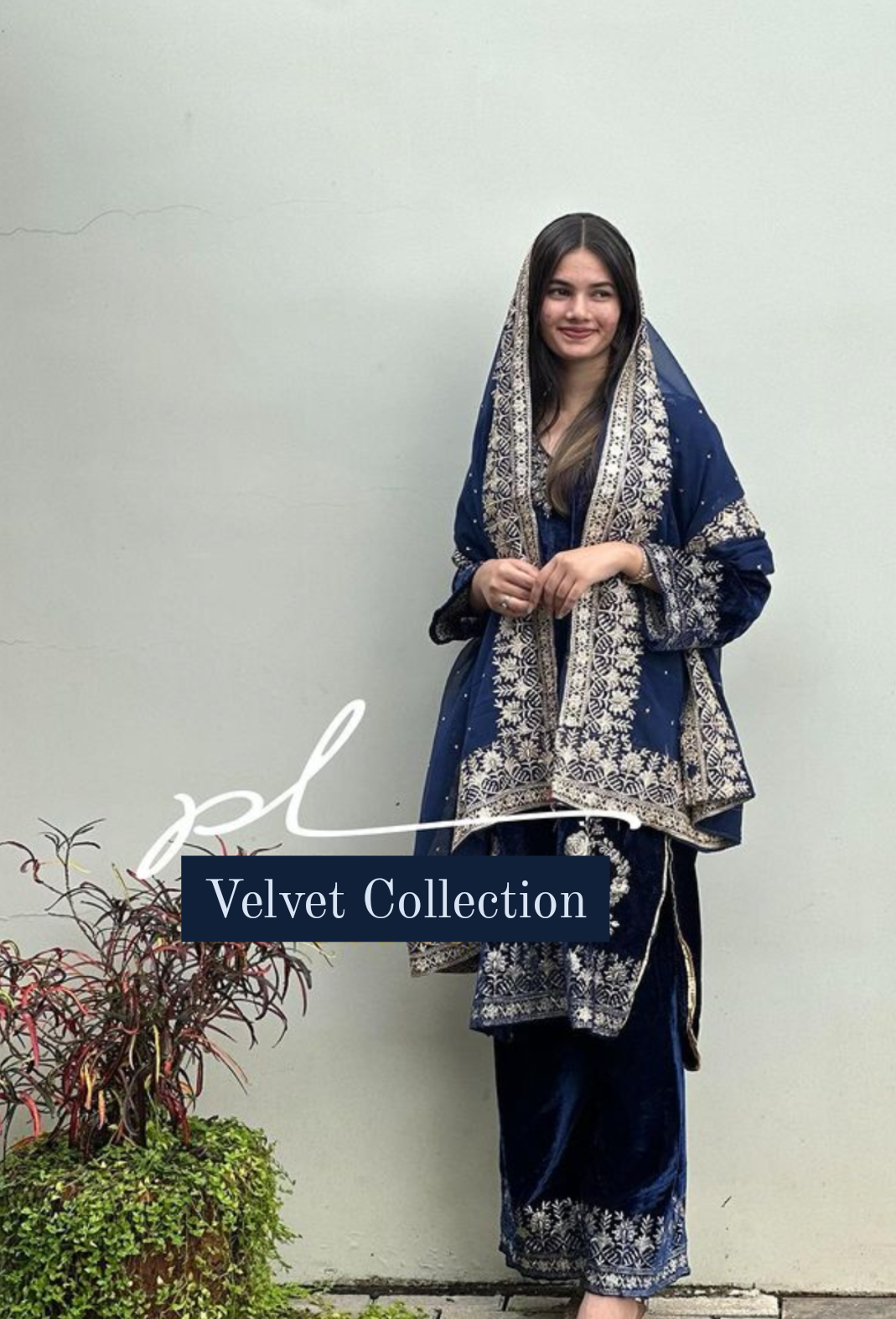 Velvet Collection