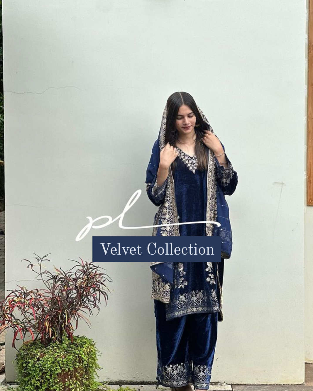 Velvet Collection