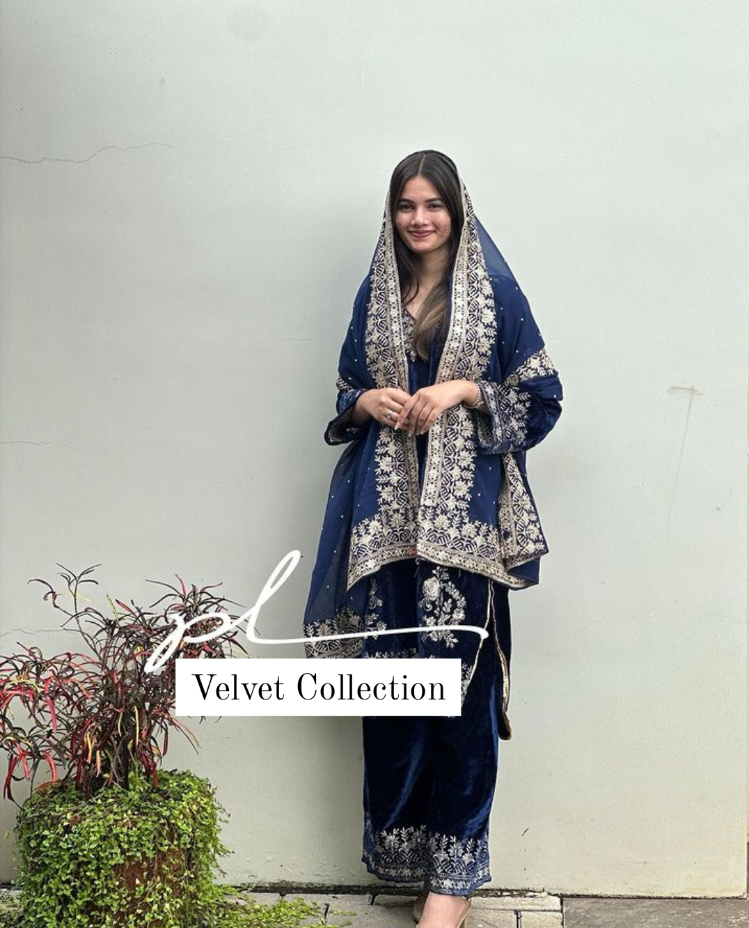 Velvet Collection