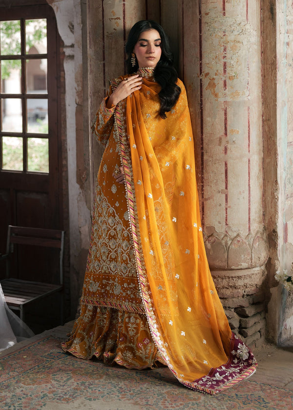Amber By Haseen's