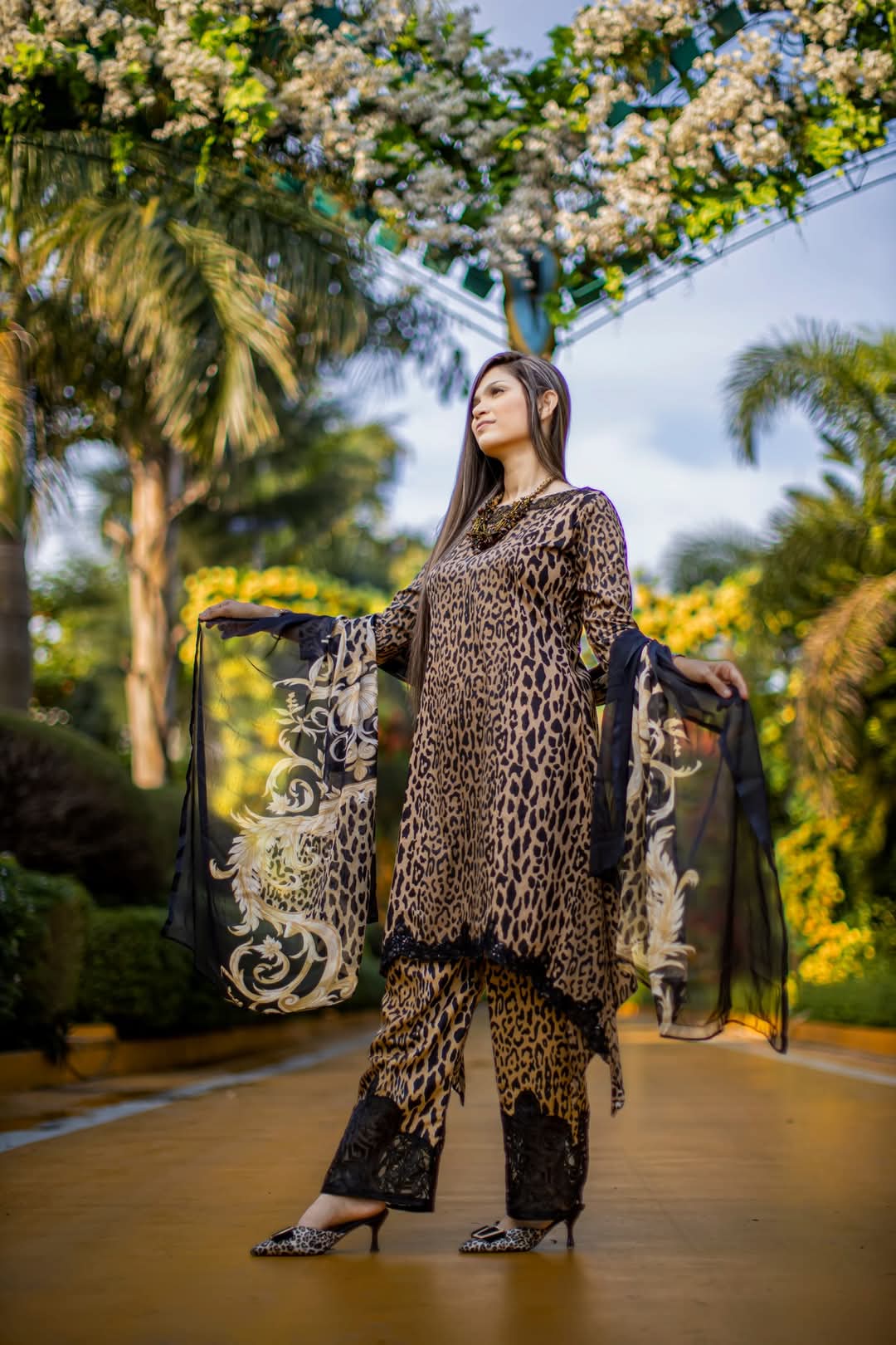 Lawn Collection