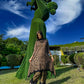 Lawn Collection