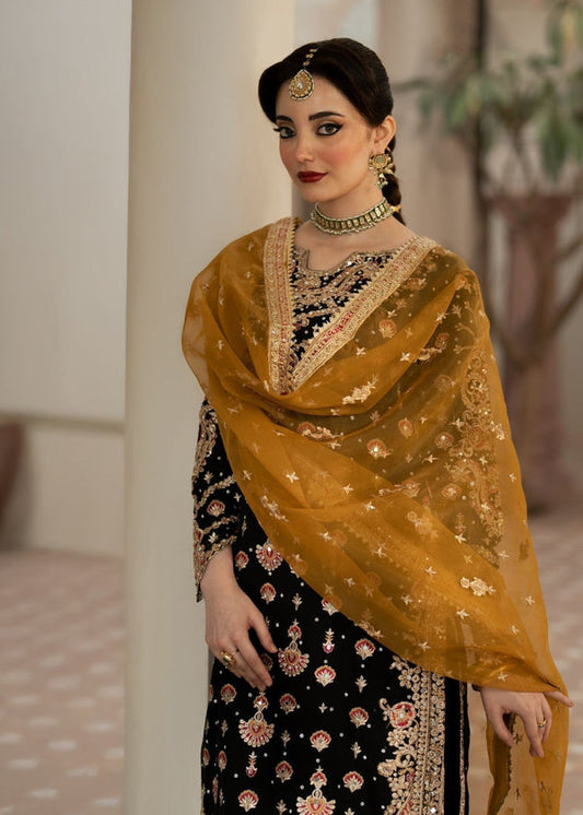 Mishaal By Haseen's Collection