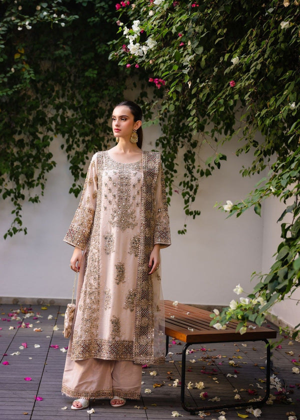 Anishka By Haseen's