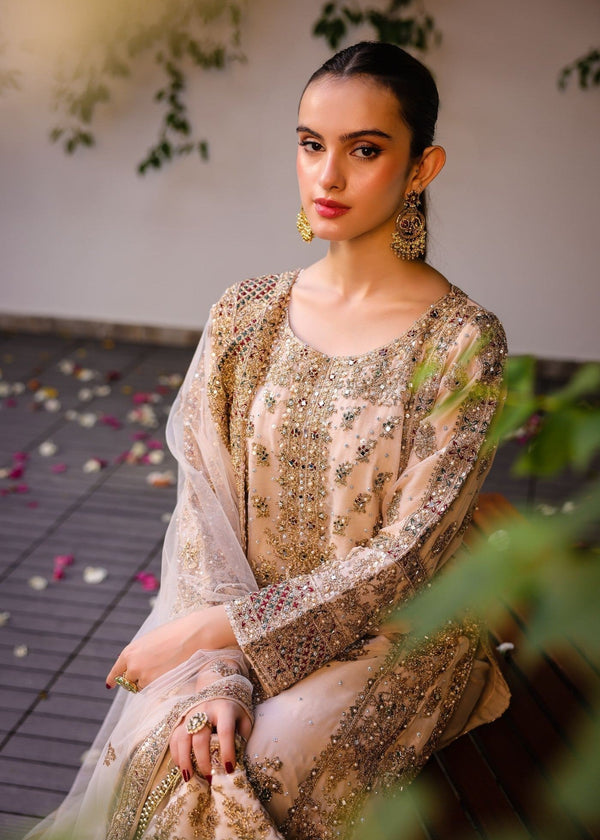 Anishka By Haseen's