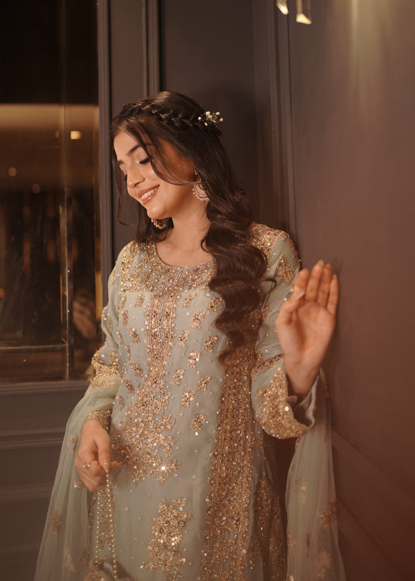Anishka By Haseen's