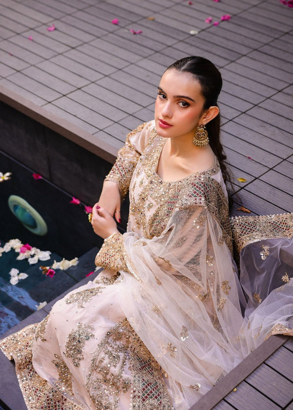 Anishka By Haseen's