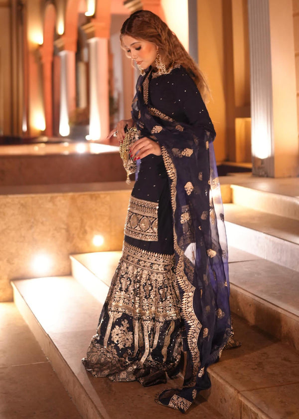Anchal By Haseen's