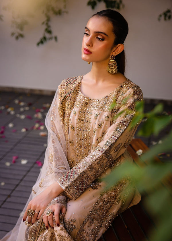 Anishka By Haseen's