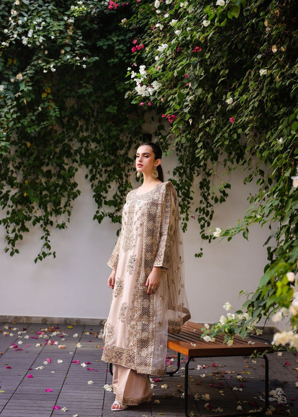 Anishka By Haseen's