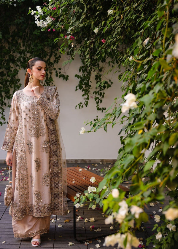 Anishka By Haseen's