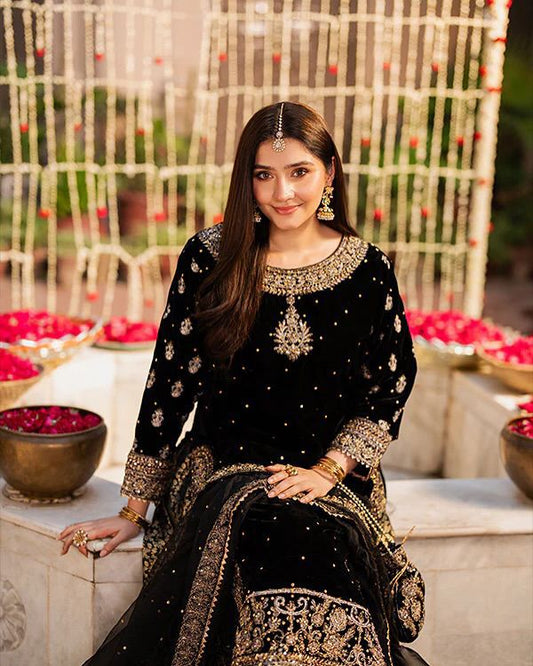 Haseen Inspired Velvet Collection