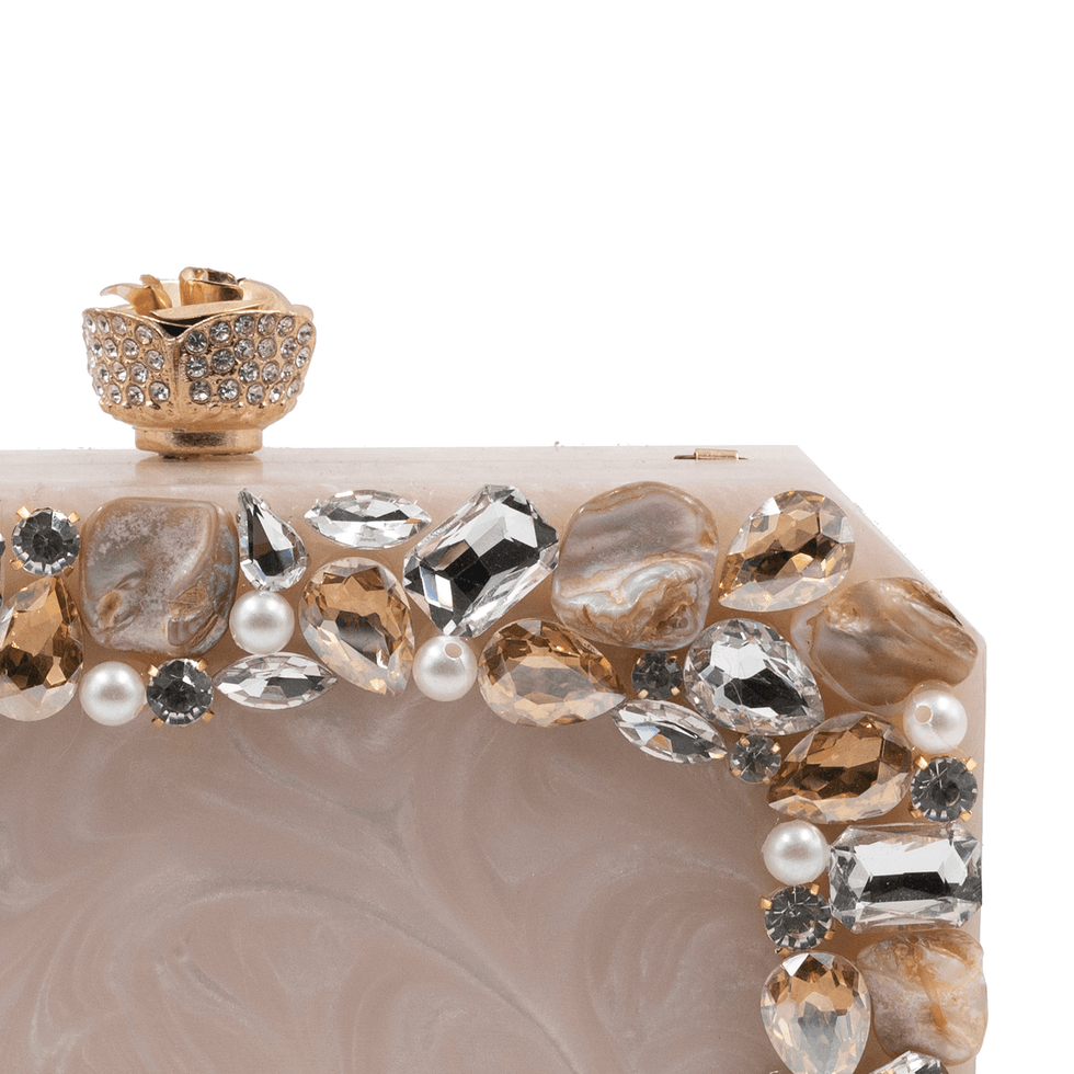 Beige Luxury Resin Embellished Clutch