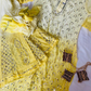 Ombre Shaded Chikankari Collection