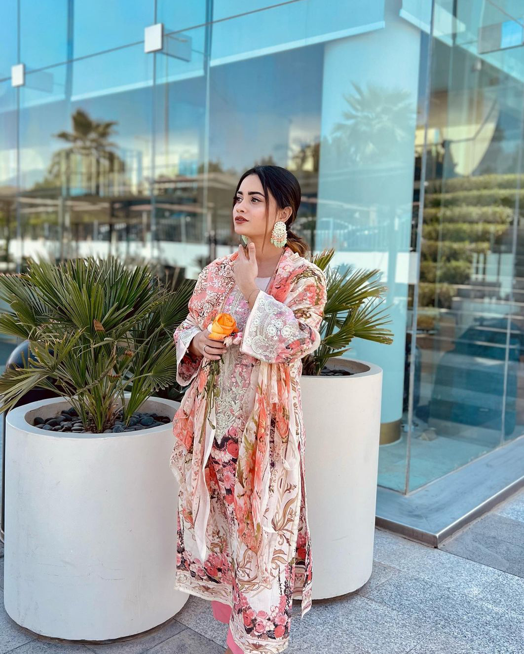 Lawn Collection